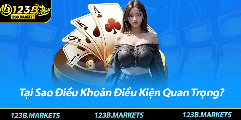 Tại Sao Điều Khoản Điều Kiện Quan Trọng?